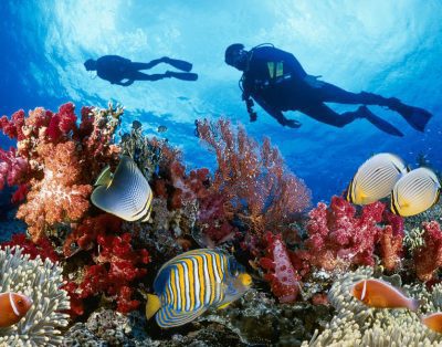 Diving in Cancún
